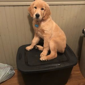 Meet your Posher, Suzaane